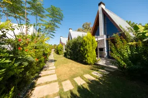 BEGONVİL GÜMÜŞLÜK  - Image 3