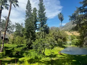 Nostalgic Nest | River, Lake, & Near Sequoia - Image 5