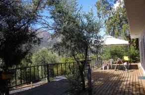 Olive Tree Cabin Charming Hillside - Image 2