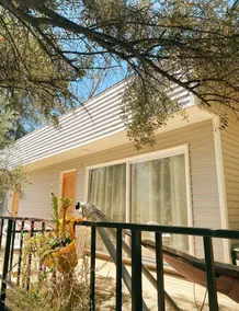 Olive Tree Cabin Charming Hillside - Image 4