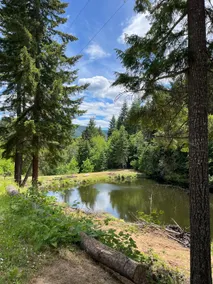 Lakefront Cabin Retreat a vacation wonderland. - Image 3