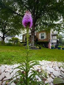 Cozy & Comfy 3BR Home - Image 5