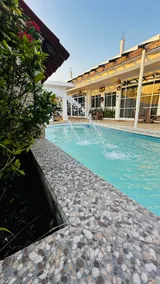 Baru chachalacas - Image 5