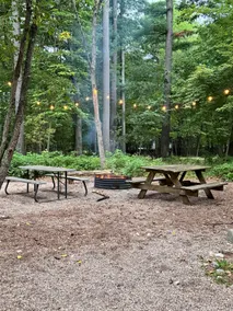 Cozy Cabin on Old Taylor Lake - Image 3