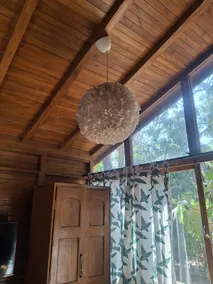 Mangifera Treehouse - Image 4
