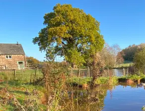 Oaklands Cottage on a rural farm - Image 3