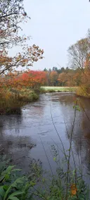 House on the River Eversen Apartment - Image 4