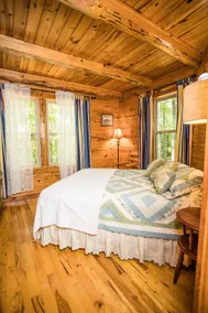 Reality Ridge Ozark Wilderness Cabin - Image 5