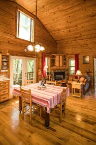 Reality Ridge Ozark Wilderness Cabin - Image 3