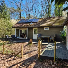 Cozy Forest House in Nature with Sauna - Image 5