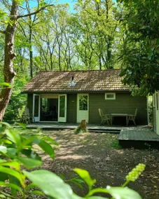 Cozy Forest House in Nature with Sauna - Image 4