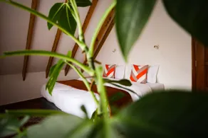 Villa Africana, Modern & Serene with Tea Views - Image 4