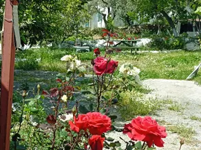 LOTUS House History & Nature & Comfort - Image 2