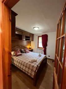 House vines - Image 3
