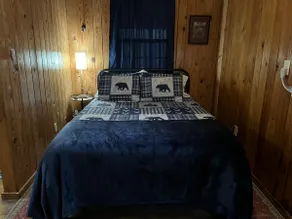 Lost Creek Cabin 2 (the Mountain Man) - Image 3