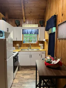 Lost Creek Cabin 2 (the Mountain Man) - Image 4