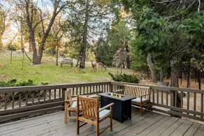 Family Cabin | Tire Swing & Forest Yard - Image 4