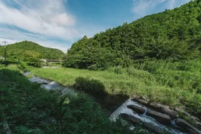 A small retreat in Izu with the sound of the river - Image 5