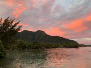 Fara Orahana – Moorea - Image 5