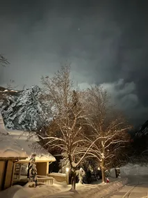 ModHaus Little Cottonwood Canyon Snowbird Alta! - Image 3