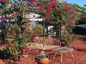 Charming spacious garden apartment. Close to beach - Image 5