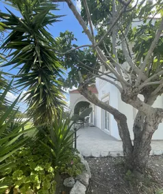 Villa Fig Tree - Image 3