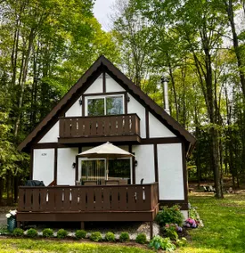 Harbor Springs Cozy Cabin 2 miles to the beach - Image 2