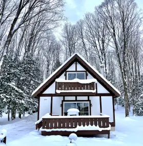 Harbor Springs Cozy Cabin 2 miles to the beach - Image 2