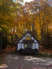 Harbor Springs Cozy Cabin 2 miles to the beach - Image 5
