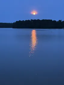Serenity at Clarks Hill Lake. (Fishing Creek) - Image 3