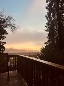 Cozy Redwood Retreat - Image 2