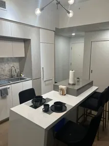 Beautiful one bedroom downtown Condo with pool and free parking - Image 4