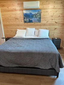 Lumber Jack Cabin Is cozy over look a nice lake. - Image 3