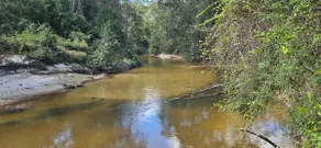 Glass House retreat on scenic Bogue Falaya river - Image 2