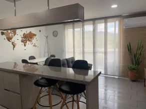 Nice affordable apartment in a natural setting near clinics - Image 5