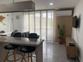 Nice affordable apartment in a natural setting near clinics - Image 3