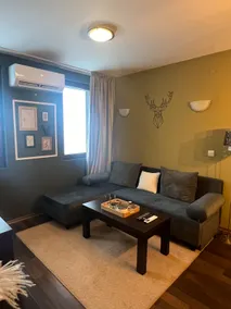 Regal Retreat Gondola Lift Apartment - Image 4