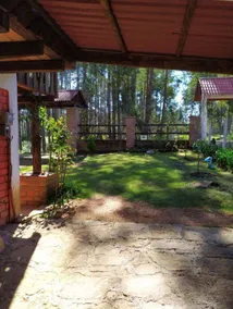 Rustic Cabin - Image 5
