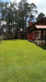 Rustic Cabin - Image 2