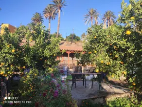 La Finca De Victoria Alojera - Image 5