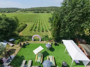Gîte among the vineyards - Image 5