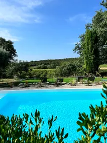 Gîte among the vineyards - Image 4