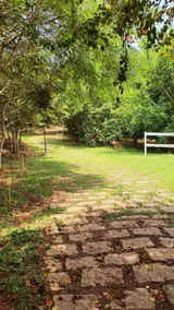 countryside, children, soccer, swimming pool, sun, and comfort - Image 5