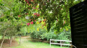 countryside, children, soccer, swimming pool, sun, and comfort - Image 4