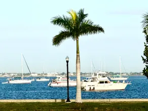 Amazing Harbor Front Views Dowtown Best Location! - Image 3