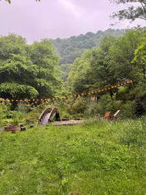 Riverfront Forest Escape | Complete Privacy - Image 2