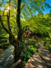 Riverfront Forest Escape | Complete Privacy - Image 3