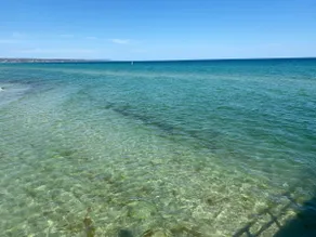 Seaford Serenity: A nature lover's coastal haven - Image 2
