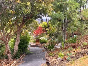 Bruny Serenade - Image 4