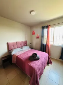 Casa Yellow - Image 3